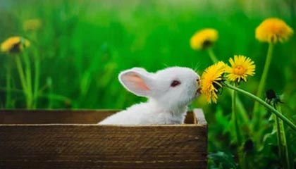 九游体育官方app-世界杯预选赛U23国足出战 数据分析揭示问题，u23世界杯百度百科